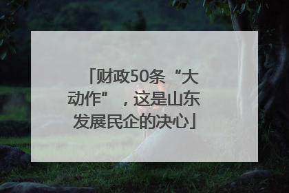 财政50条“大动作”，这是山东发展民企的决心