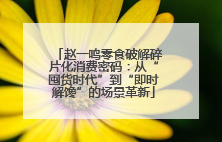 赵一鸣零食破解碎片化消费密码：从“囤货时代”到“即时解馋”的场景革新