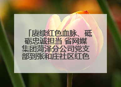赓续红色血脉、砥砺忠诚担当 省网媒集团菏泽分公司党支部到张和庄社区红色基因传承馆开展主题党日活动