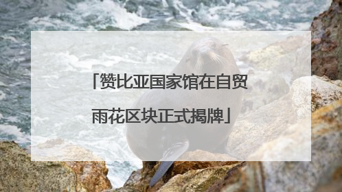赞比亚国家馆在自贸雨花区块正式揭牌