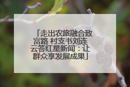 走出农旅融合致富路 村支书刘连云答红星新闻：让群众享发展成果