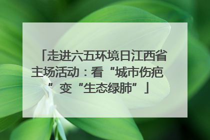 走进六五环境日江西省主场活动：看“城市伤疤”变“生态绿肺”