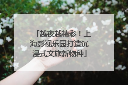 越夜越精彩！上海影视乐园打造沉浸式文旅新物种