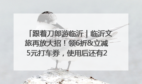 跟着刀郎游临沂｜临沂文旅再放大招！领6折&立减5元打车券，使用后还有2张5折券免费领！