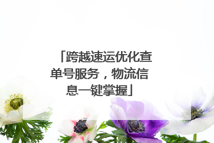 跨越速运优化查单号服务，物流信息一键掌握