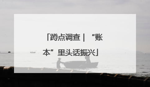 蹲点调查｜“账本”里头话振兴