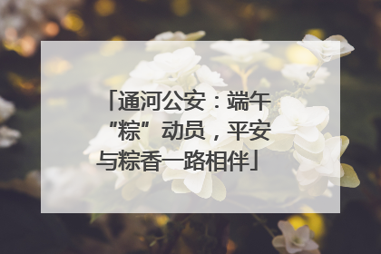 通河公安：端午“粽”动员，平安与粽香一路相伴