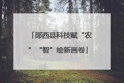 郧西县科技赋“农”“智”绘新画卷