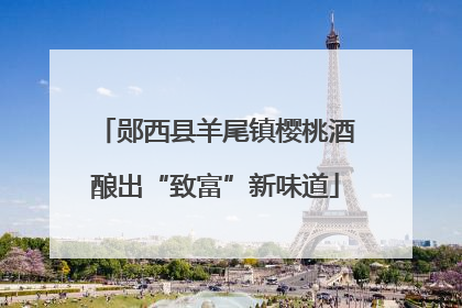 郧西县羊尾镇樱桃酒酿出“致富”新味道