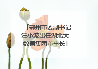 鄂州市委副书记汪小波出任湖北大数据集团董事长
