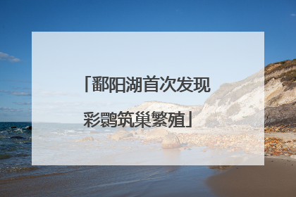 鄱阳湖首次发现彩鹮筑巢繁殖