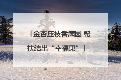 金杏压枝香满园 帮扶结出“幸福果”