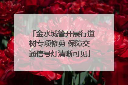 金水城管开展行道树专项修剪 保障交通信号灯清晰可见