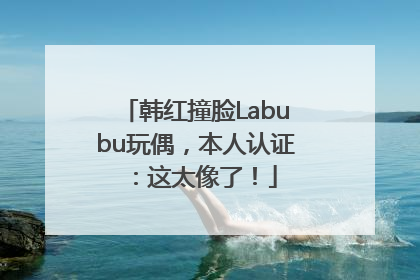 韩红撞脸Labubu玩偶，本人认证：这太像了！