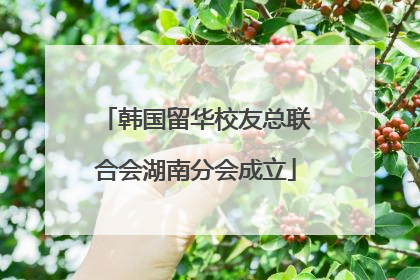 韩国留华校友总联合会湖南分会成立