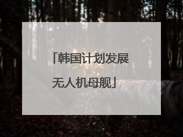 韩国计划发展无人机母舰