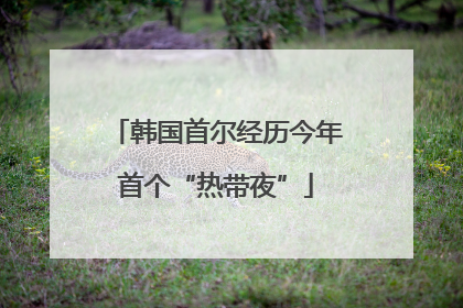 韩国首尔经历今年首个“热带夜”