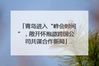 青岛进入“峰会时间”，敞开怀抱邀跨国公司共谋合作新局