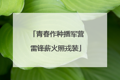 青春作种播军营 雷锋薪火照戎装