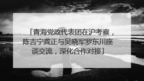 青海党政代表团在沪考察，陈吉宁龚正与吴晓军罗东川座谈交流，深化合作对接