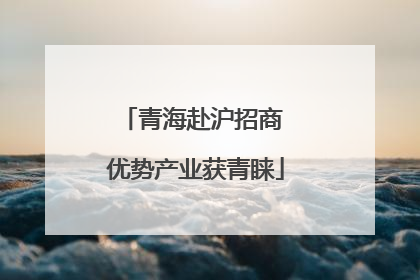 青海赴沪招商 优势产业获青睐