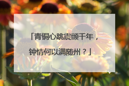 青铜心跳震颤千年，钟情何以满随州？
