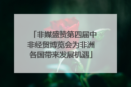 非媒盛赞第四届中非经贸博览会为非洲各国带来发展机遇