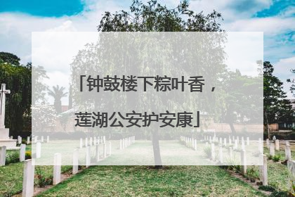 钟鼓楼下粽叶香，莲湖公安护安康