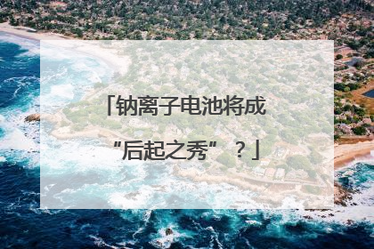 钠离子电池将成“后起之秀”？