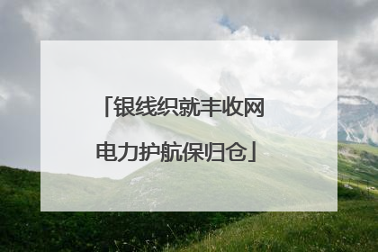 银线织就丰收网 电力护航保归仓
