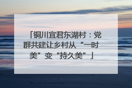 铜川宜君东湖村：党群共建让乡村从“一时美”变“持久美”