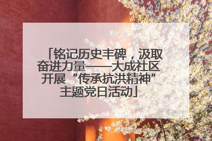 铭记历史丰碑，汲取奋进力量——大成社区开展“传承抗洪精神”主题党日活动