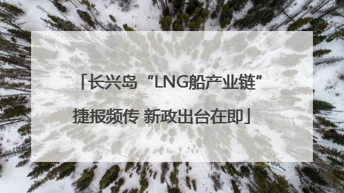 长兴岛“LNG船产业链”捷报频传 新政出台在即