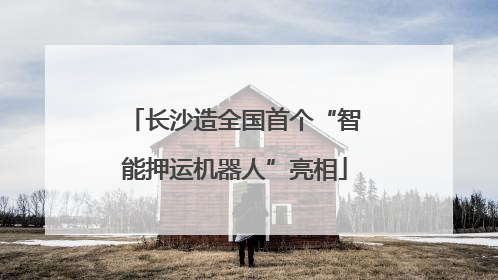 长沙造全国首个“智能押运机器人”亮相