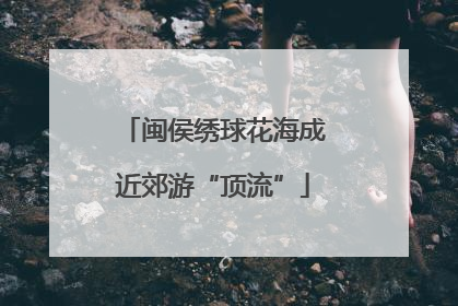 闽侯绣球花海成近郊游“顶流”