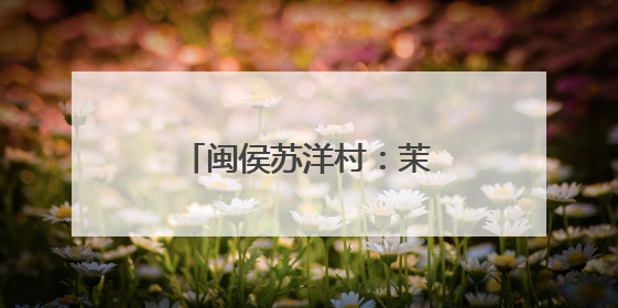 闽侯苏洋村：茉莉花开富农家