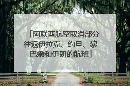 阿联酋航空取消部分往返伊拉克、约旦、黎巴嫩和伊朗的航班