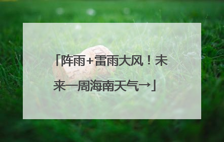 阵雨+雷雨大风！未来一周海南天气→