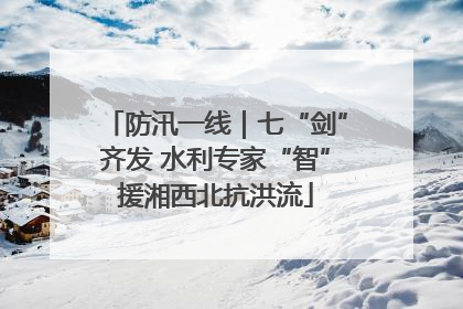 防汛一线｜七“剑”齐发 水利专家“智”援湘西北抗洪流