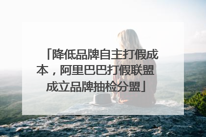 降低品牌自主打假成本，阿里巴巴打假联盟成立品牌抽检分盟