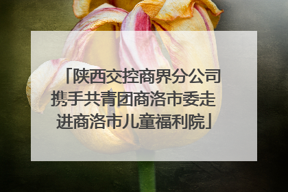 陕西交控商界分公司携手共青团商洛市委走进商洛市儿童福利院