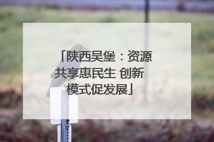 陕西吴堡：资源共享惠民生 创新模式促发展
