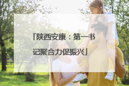 陕西安康：第一书记聚合力促振兴