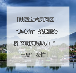 陕西宝鸡凤翔区：“连心角”架起服务桥 文明实践助力“三夏”农忙