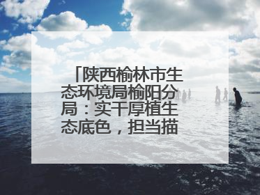 陕西榆林市生态环境局榆阳分局：实干厚植生态底色，担当描绘绿色答卷