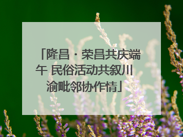 隆昌・荣昌共庆端午 民俗活动共叙川渝毗邻协作情