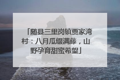 随县三里岗镇贾家湾村：八月瓜缀满藤，山野孕育甜蜜希望