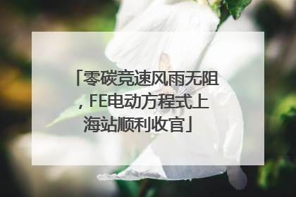 零碳竞速风雨无阻，FE电动方程式上海站顺利收官