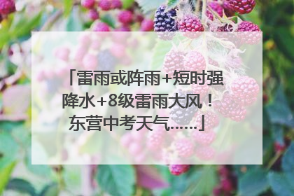 雷雨或阵雨+短时强降水+8级雷雨大风！东营中考天气……