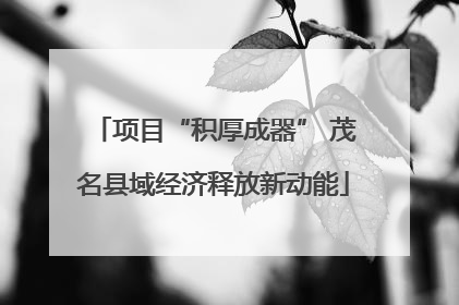 项目“积厚成器” 茂名县域经济释放新动能